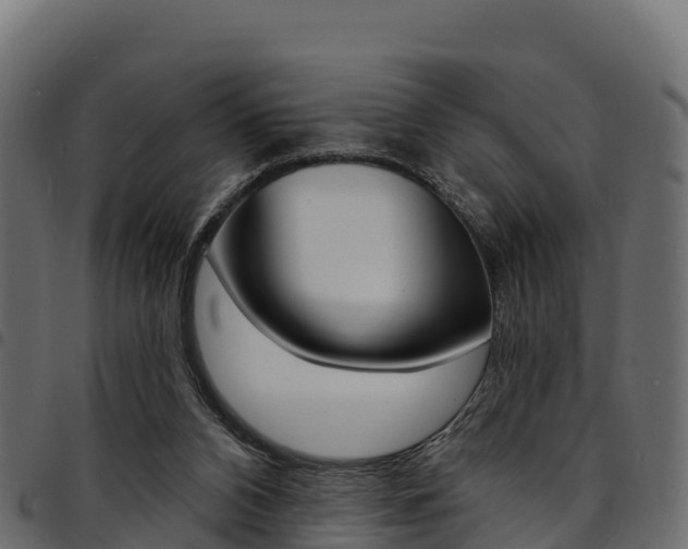 X0000094960112200711291136