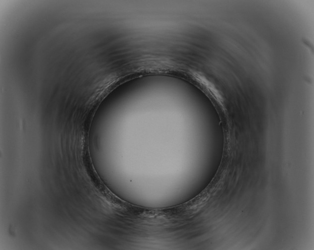 X0000094960113200711291136