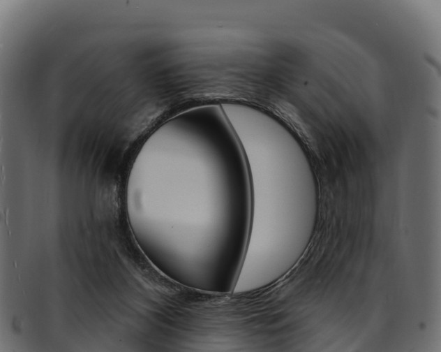 X0000094960116200711291136