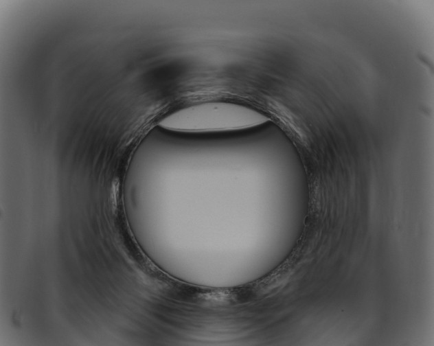 X0000094960118200711291136