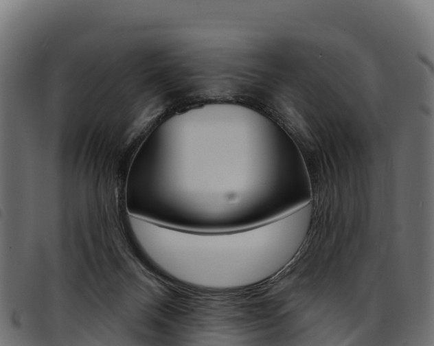 X0000094960120200711291136