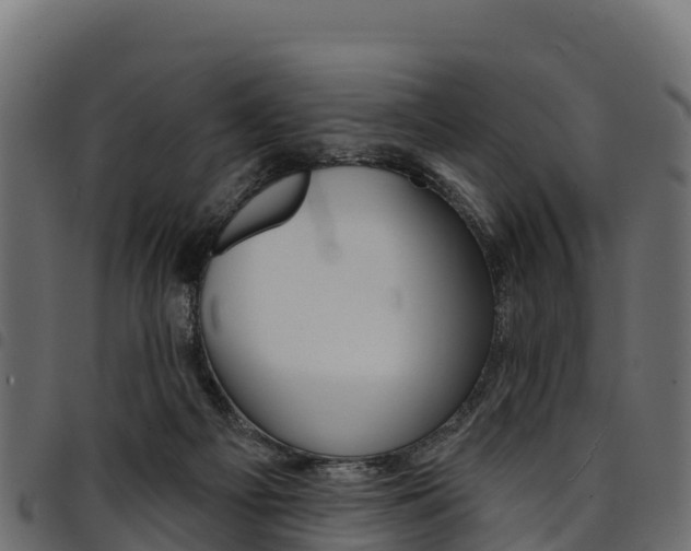 X0000094960121200711291136