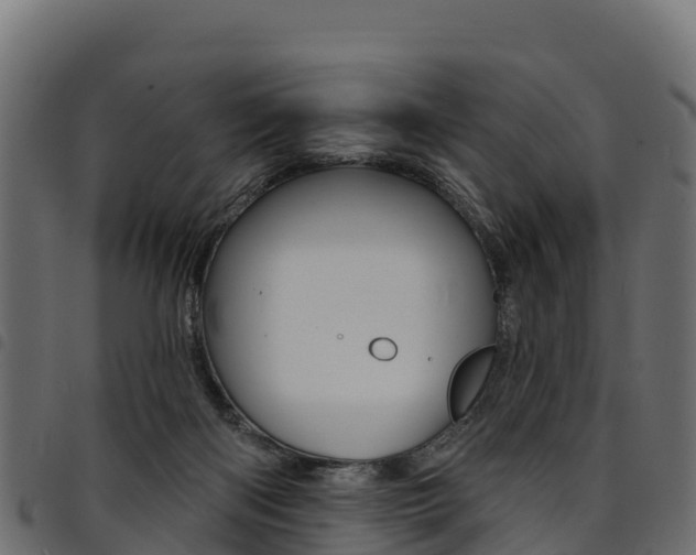 X0000094960122200711291136