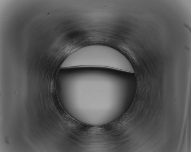 X0000094960123200711291136