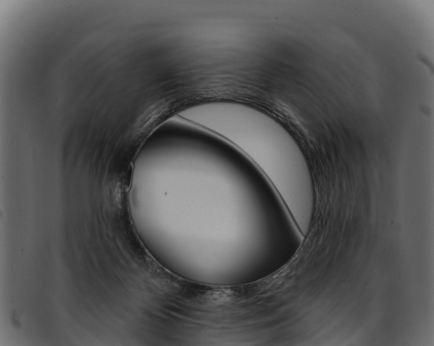 X0000094960124200711291136