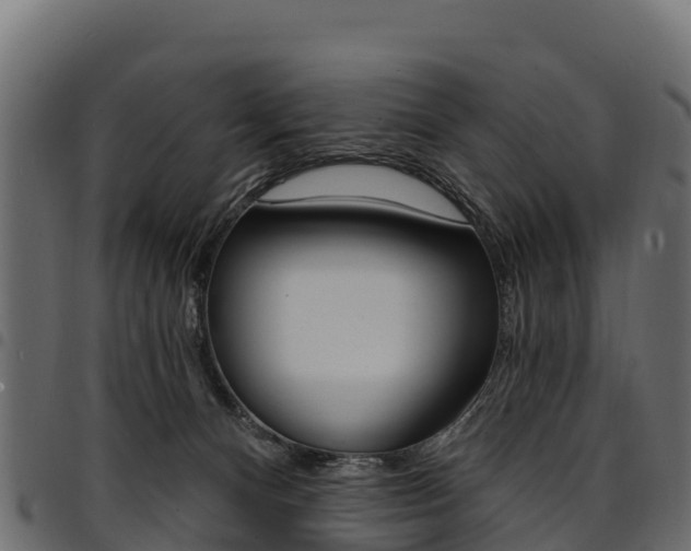 X0000094960128200711291136