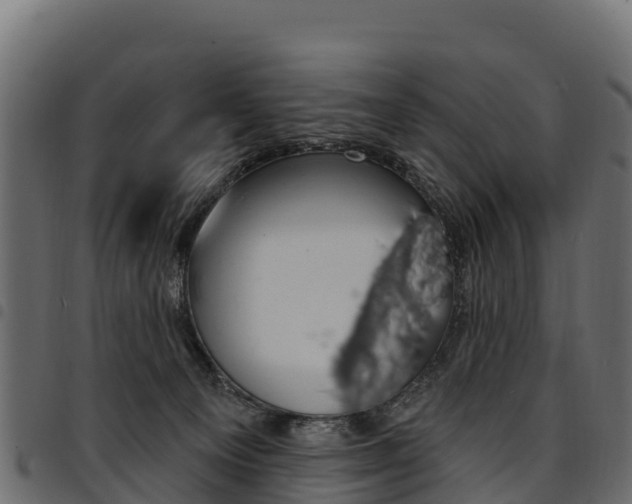 X0000094960129200711291136