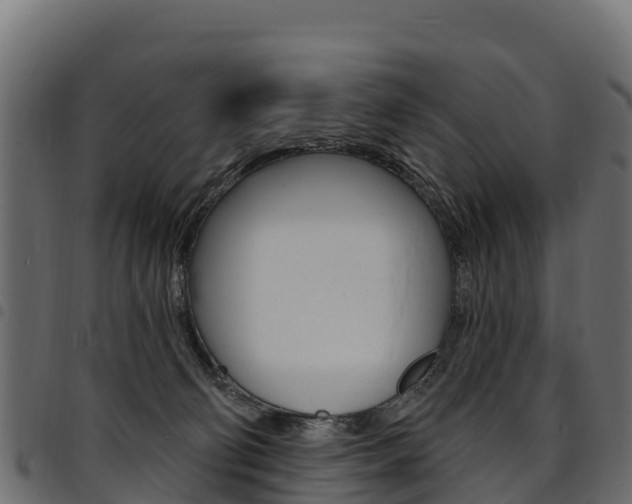 X0000094960130200711291136