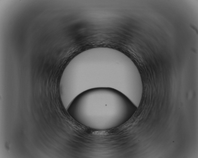 X0000094960133200711291136