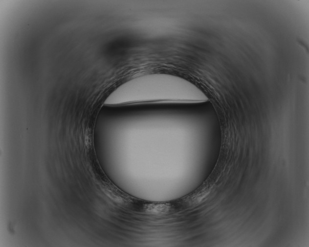 X0000094960135200711291136