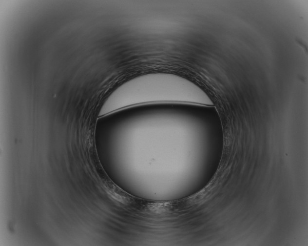 X0000094960136200711291136