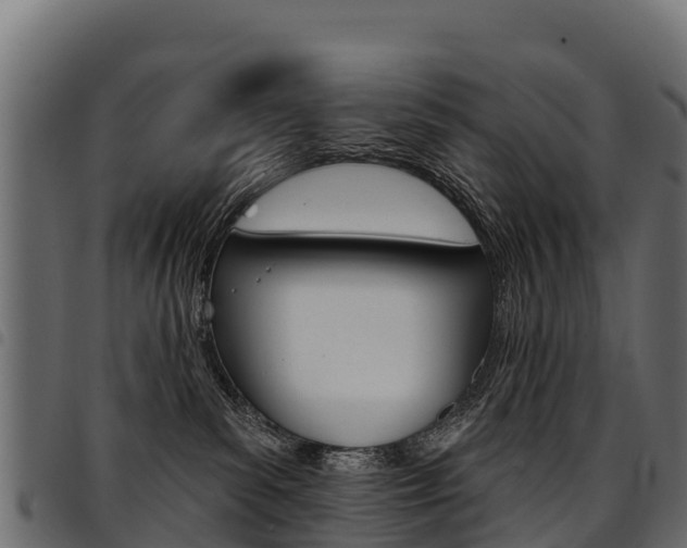 X0000094960139200711291136