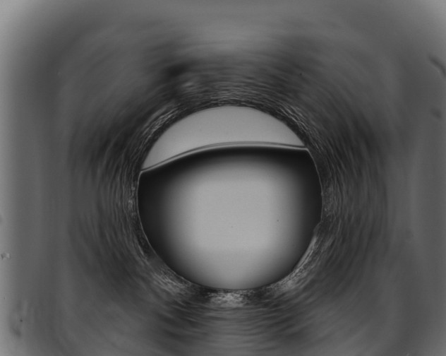 X0000094960140200711291136