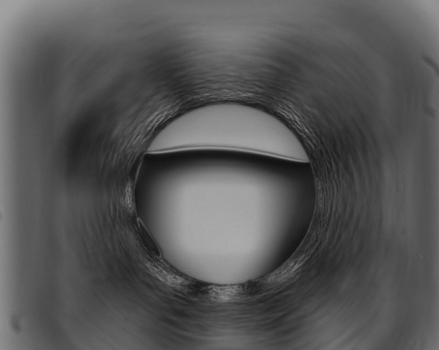 X0000094960143200711291136