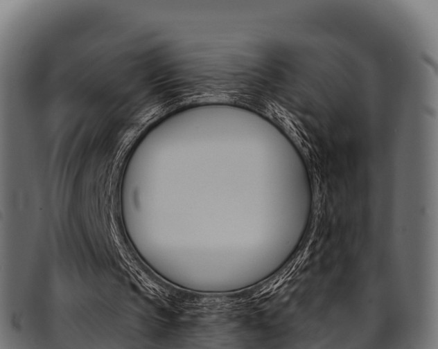X0000094960145200711291135