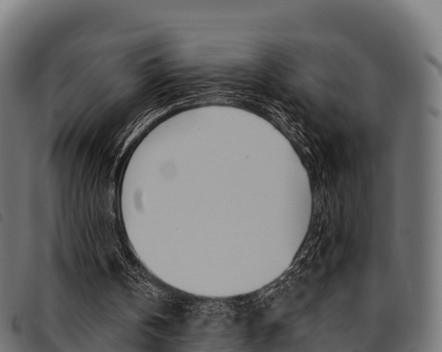 X0000094960146200711291135