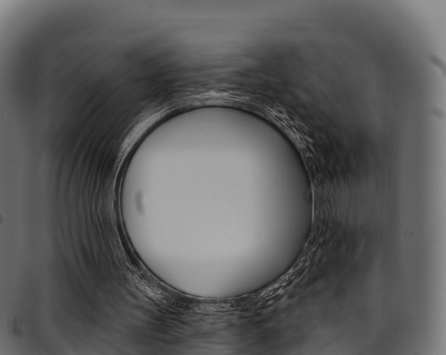 X0000094960147200711291135