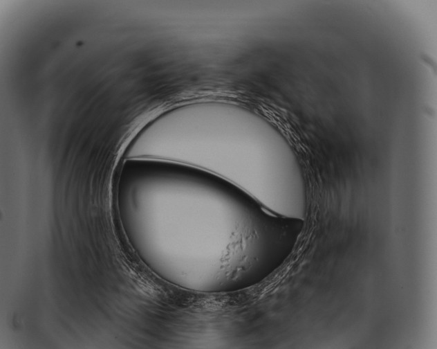 X0000094960148200711291135