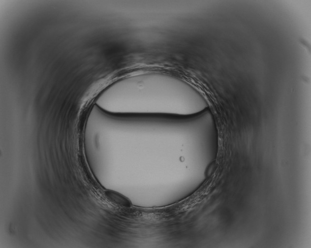 X0000094960149200711291135
