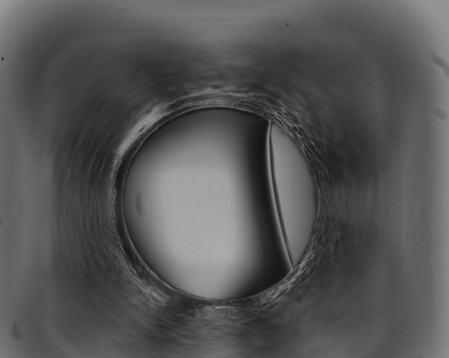 X0000094960150200711291135