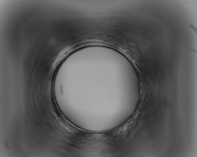 X0000094960151200711291135