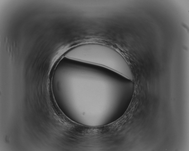 X0000094960152200711291135