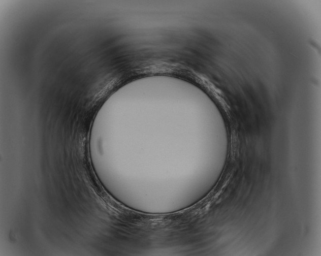 X0000094960153200711291135