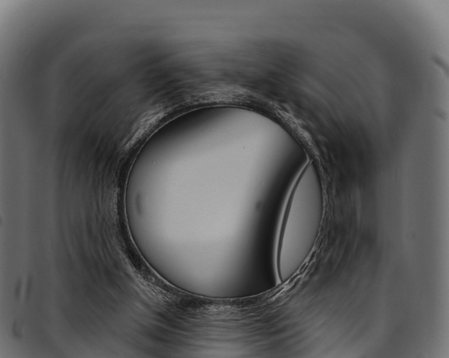X0000094960154200711291135