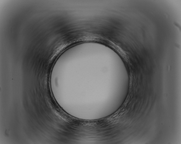 X0000094960155200711291135