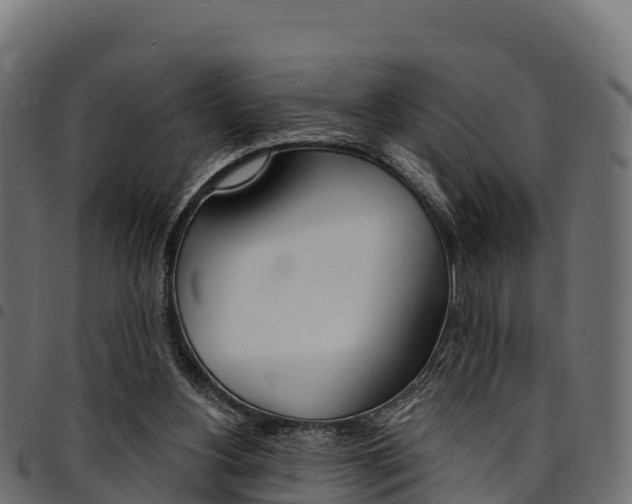 X0000094960156200711291135