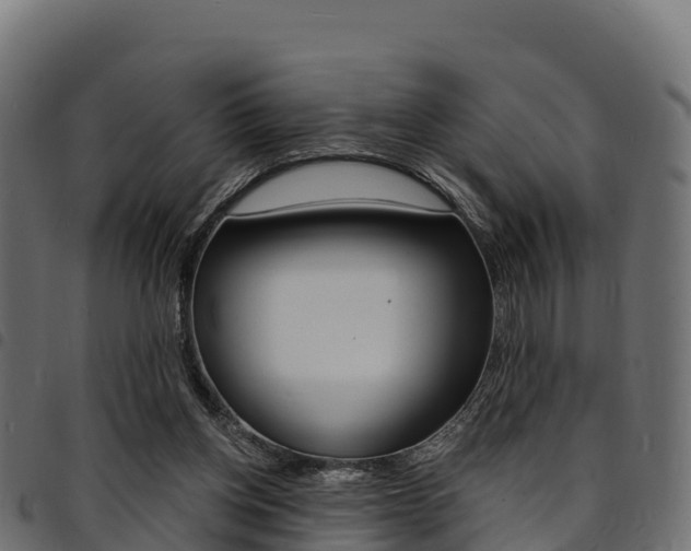 X0000094960158200711291135