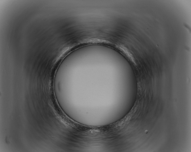X0000094960159200711291135