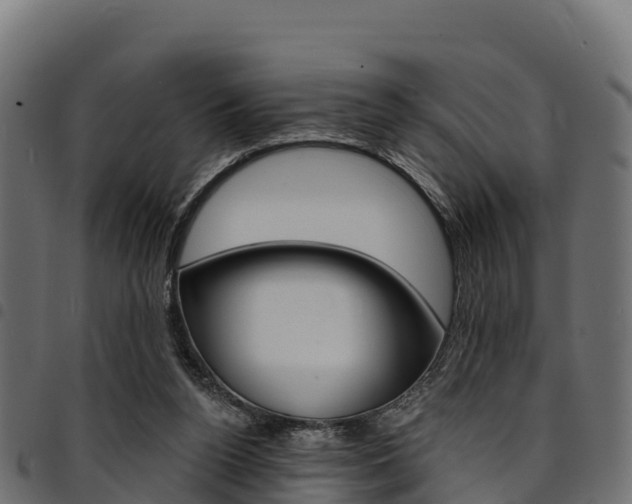 X0000094960160200711291135