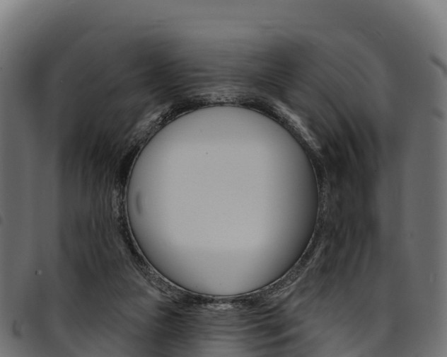 X0000094960161200711291135