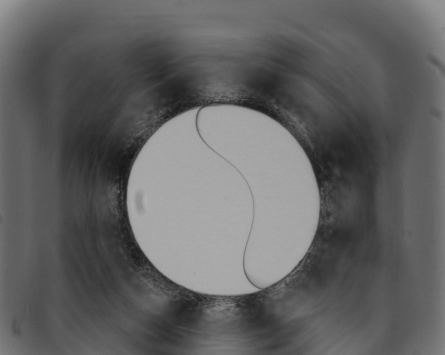 X0000094960162200711291135