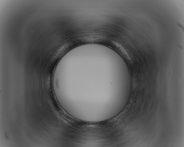 X0000094960163200711291135