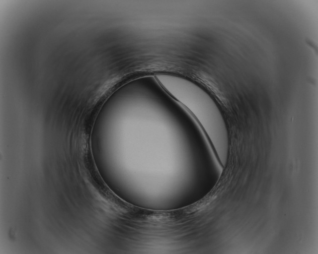 X0000094960164200711291136