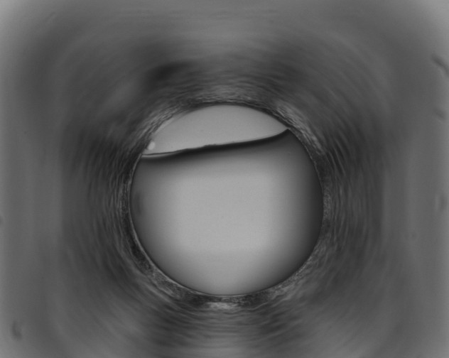 X0000094960167200711291136