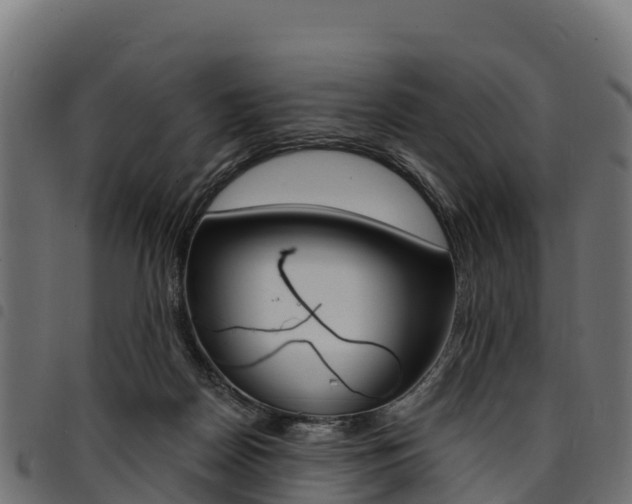 X0000094960170200711291136