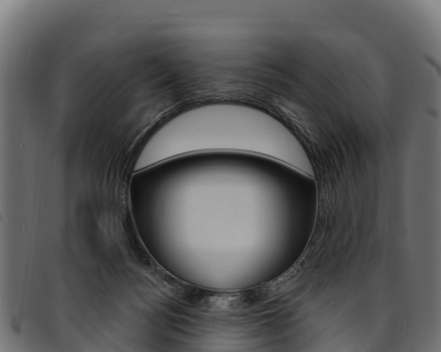 X0000094960172200711291136