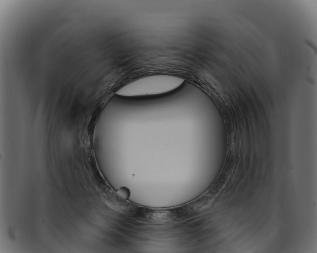 X0000094960173200711291136