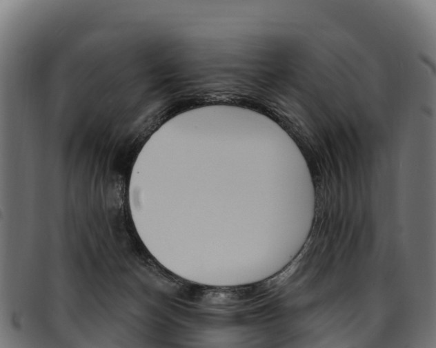 X0000094960174200711291136