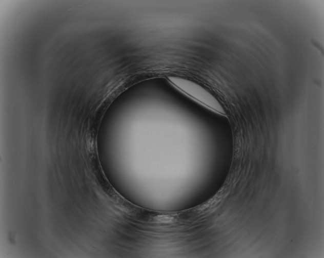 X0000094960176200711291136