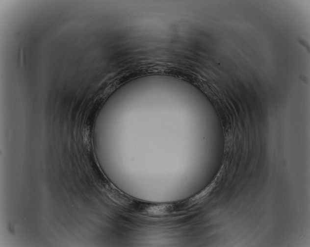 X0000094960178200711291136