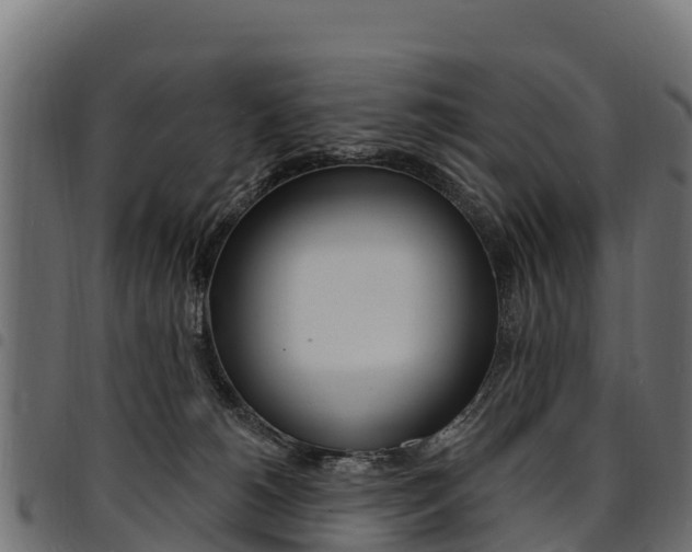 X0000094960180200711291136
