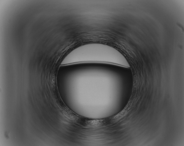 X0000094960184200711291136