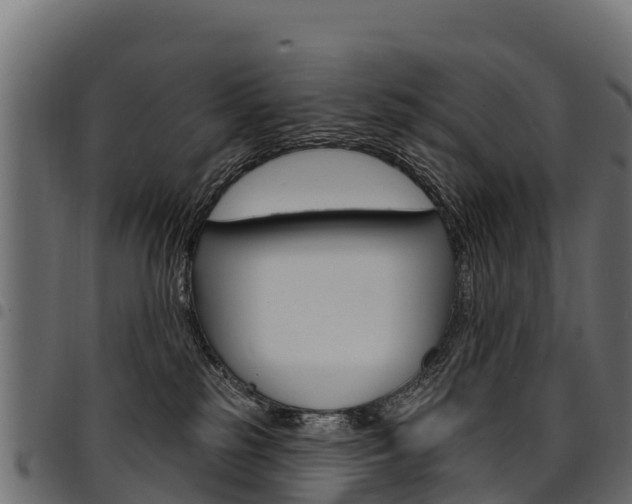 X0000094960185200711291136