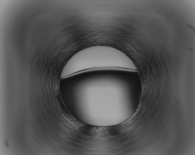 X0000094960186200711291136
