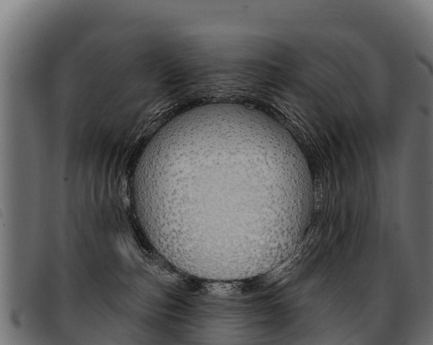 X0000094960187200711291136