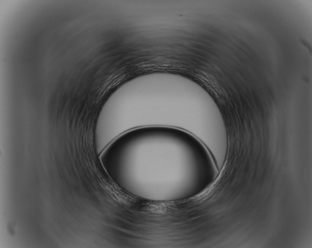 X0000094960190200711291136